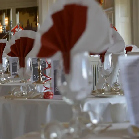 Hotel Schatzalp 3*
